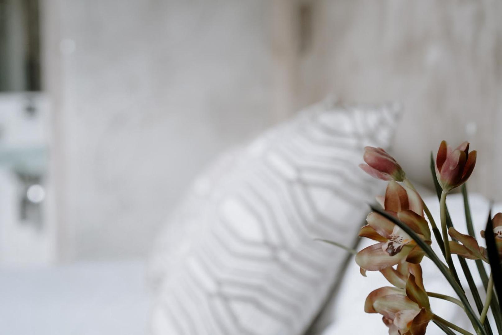 Ideal Sejour Cannes - Stylish Boutique Hotel With Quiet Garden Екстер'єр фото